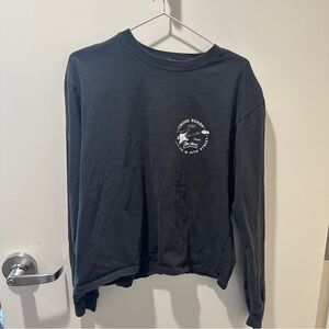 Brandy Melville gray graphic longsleeve